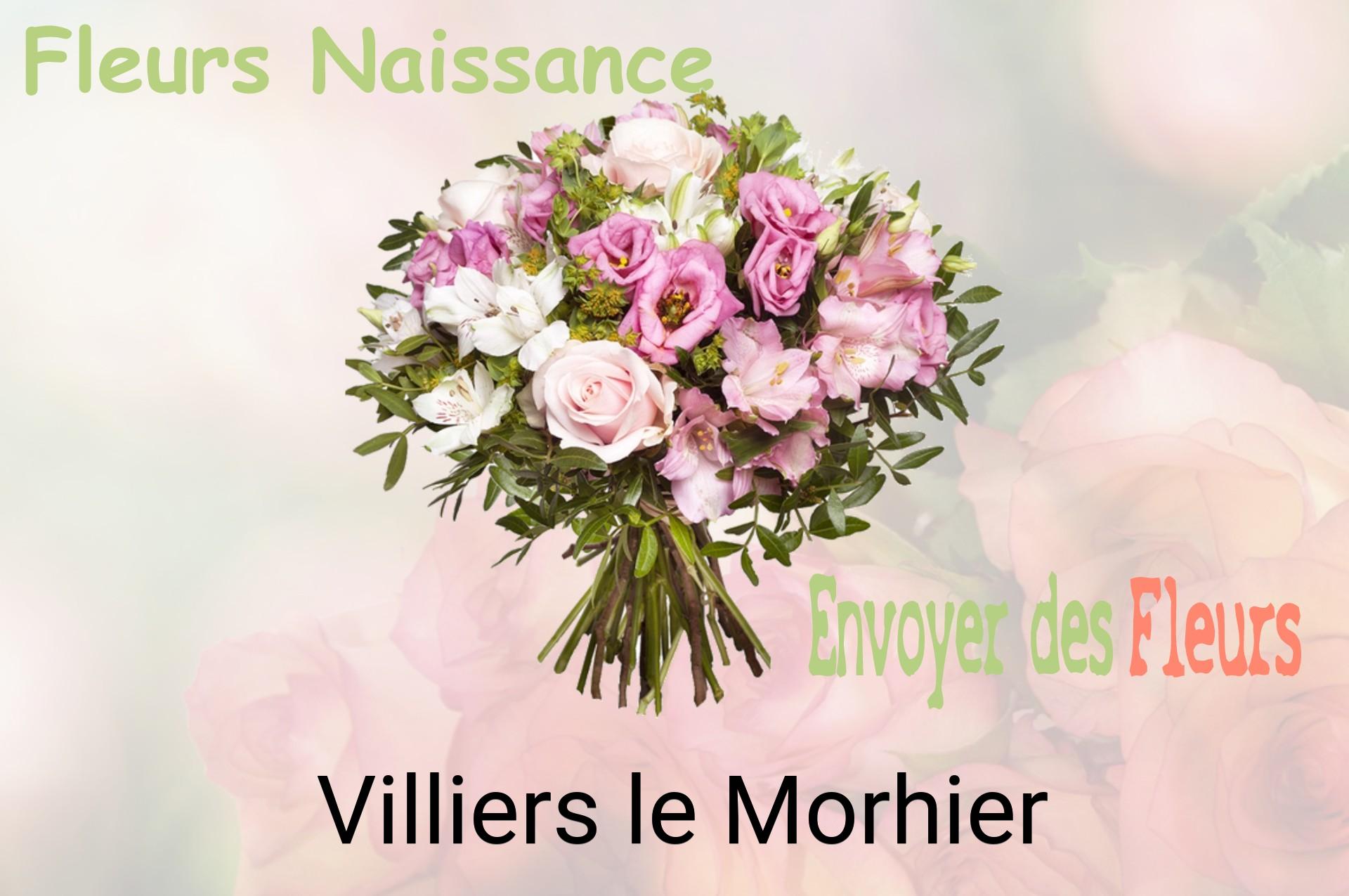 Bouquet de fleurs de naissance livré à Villiers-le-Morhier