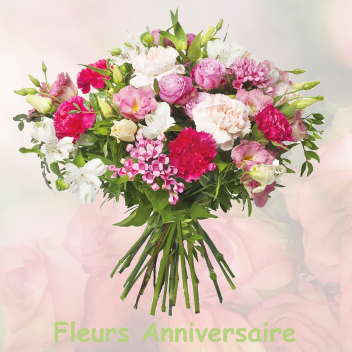 fleurs anniversaire VILLIERS-LE-MORHIER